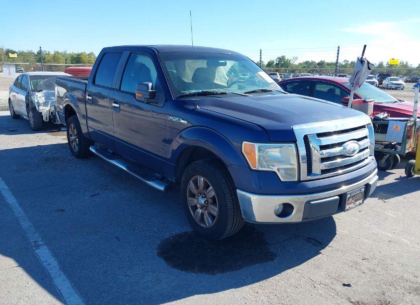 2009 Ford F-150 XL/XLT (VIN 1FTRW12809FB46438) main photo