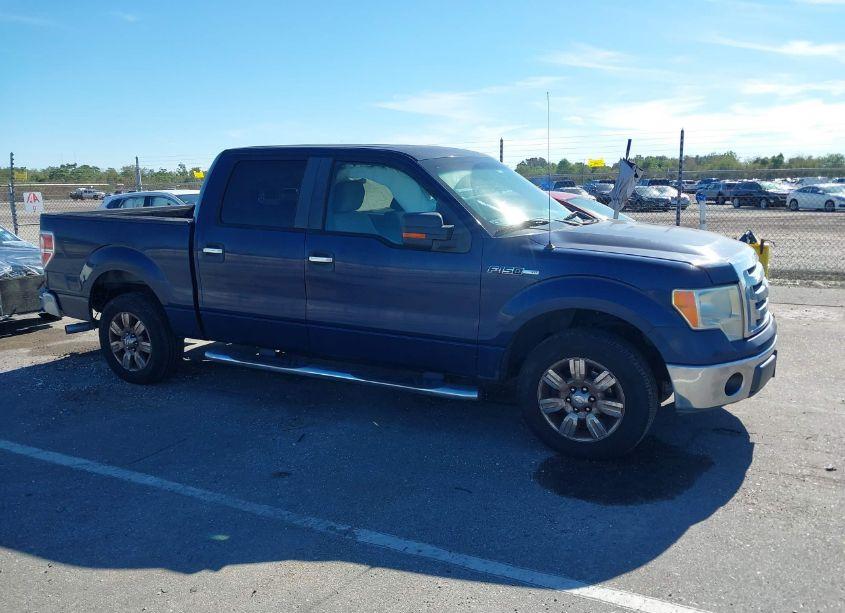 Photo 13 of 2009 Ford F-150 XL/XLT (VIN 1FTRW12809FB46438)