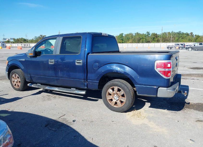 Photo 14 of 2009 Ford F-150 XL/XLT (VIN 1FTRW12809FB46438)