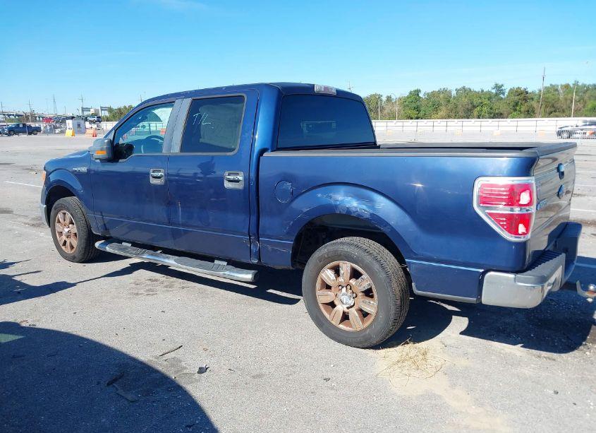 Photo 6 of 2009 Ford F-150 XL/XLT (VIN 1FTRW12809FB46438)