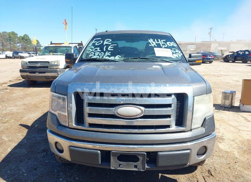 Photo 12 of 2009 Ford F-150 XL/XLT (VIN 1FTRW12809KB83416)