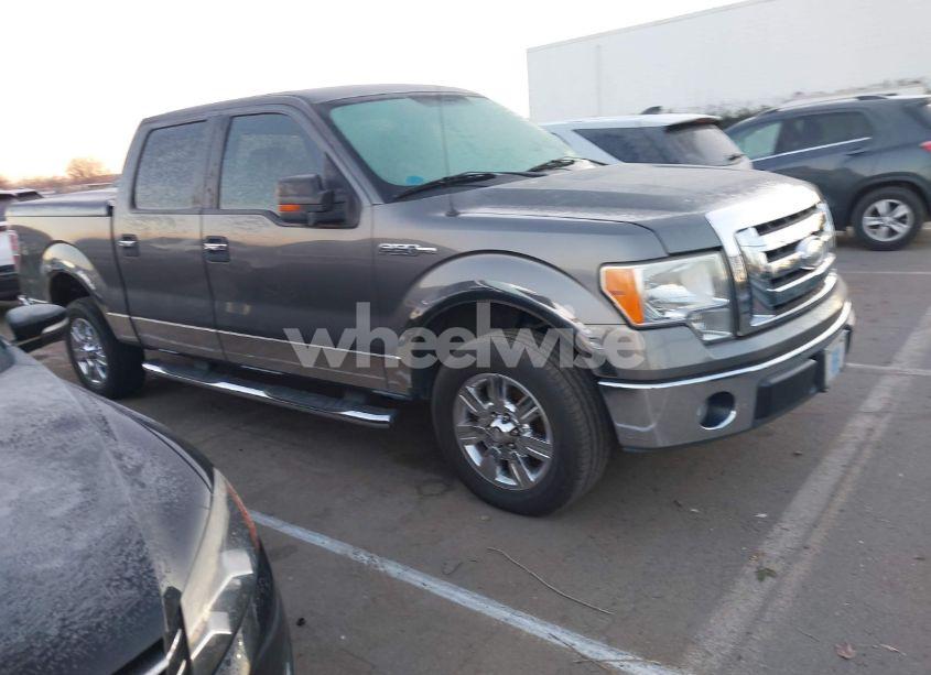 2009 Ford F-150 XL/XLT (VIN 1FTRW12819FA45182) main photo