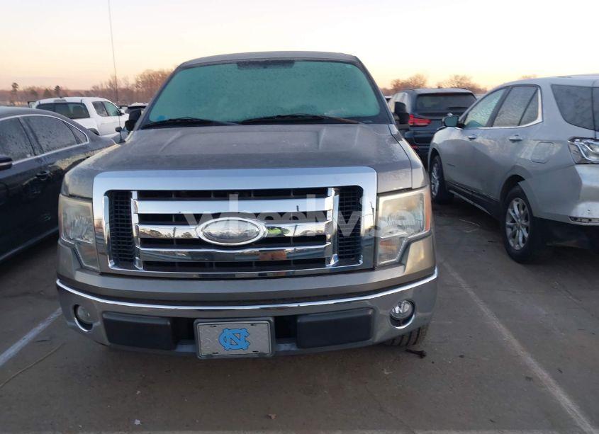 Photo 12 of 2009 Ford F-150 XL/XLT (VIN 1FTRW12819FA45182)