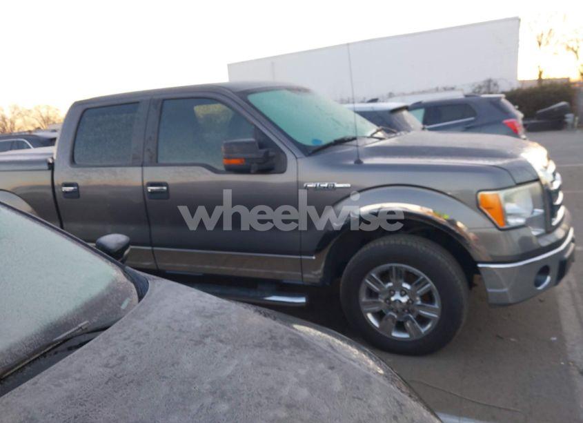 Photo 13 of 2009 Ford F-150 XL/XLT (VIN 1FTRW12819FA45182)