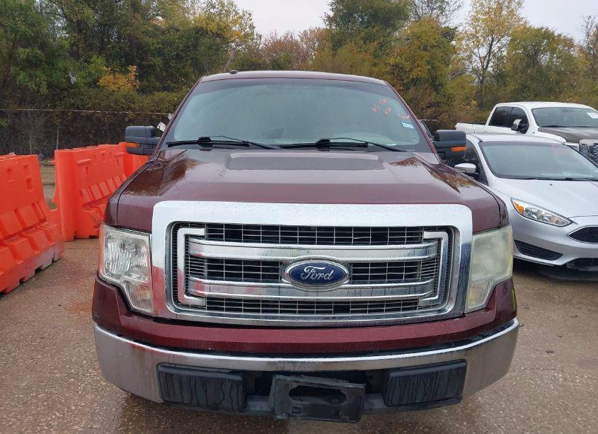 Photo 12 of 2009 Ford F-150 XL/XLT (VIN 1FTRW12819FA52035)