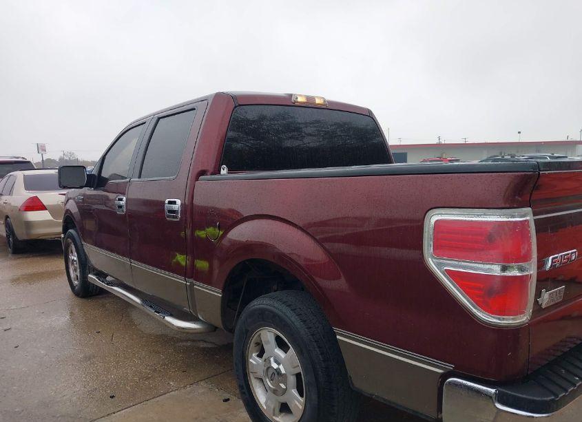 Photo 14 of 2009 Ford F-150 XL/XLT (VIN 1FTRW12819FA52035)