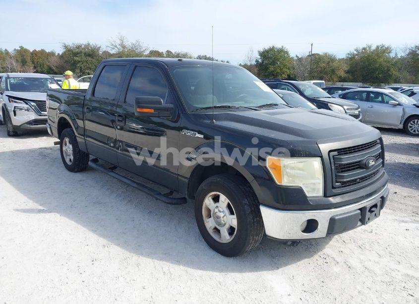 2009 Ford F-150 XL/XLT (VIN 1FTRW12819FA92857) main photo