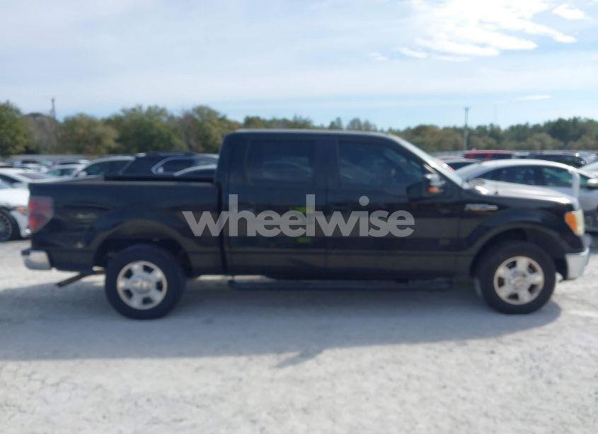 Photo 13 of 2009 Ford F-150 XL/XLT (VIN 1FTRW12819FA92857)