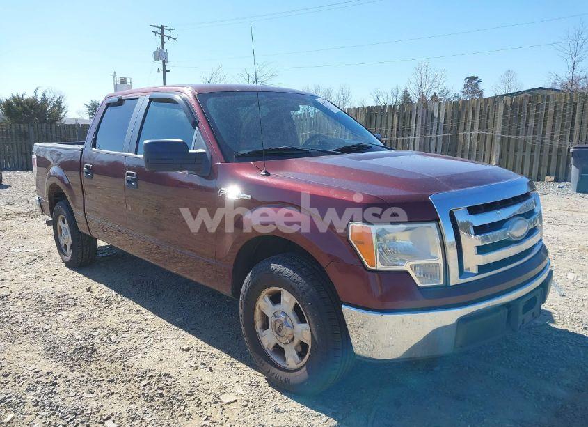 2009 Ford F-150 XLT (VIN 1FTRW12819FB47372) main photo