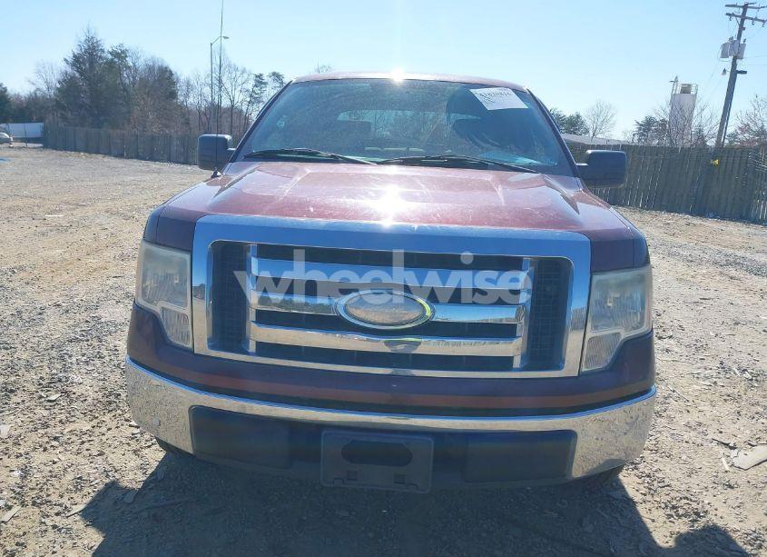 Photo 12 of 2009 Ford F-150 XLT (VIN 1FTRW12819FB47372)