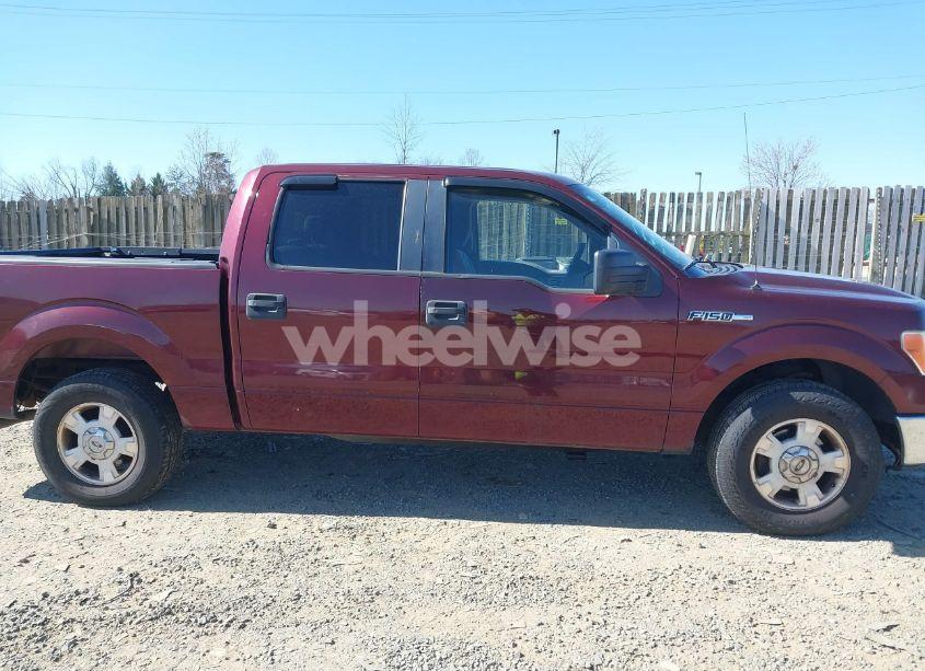 Photo 13 of 2009 Ford F-150 XLT (VIN 1FTRW12819FB47372)
