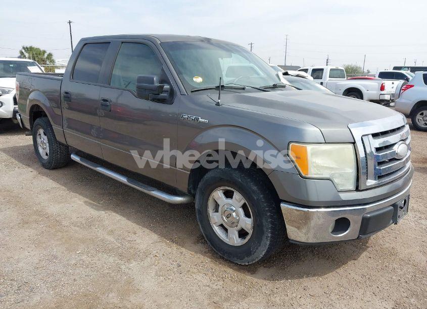 2009 Ford F-150 XLT (VIN 1FTRW12819KB52188) main photo