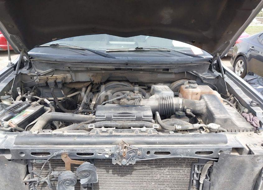 Photo 10 of 2009 Ford F-150 XLT (VIN 1FTRW12819KB52188)