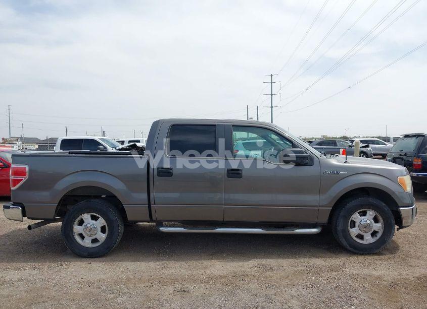 Photo 13 of 2009 Ford F-150 XLT (VIN 1FTRW12819KB52188)