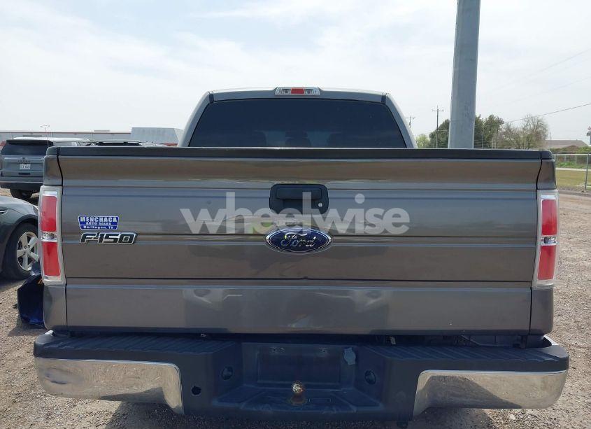 Photo 16 of 2009 Ford F-150 XLT (VIN 1FTRW12819KB52188)