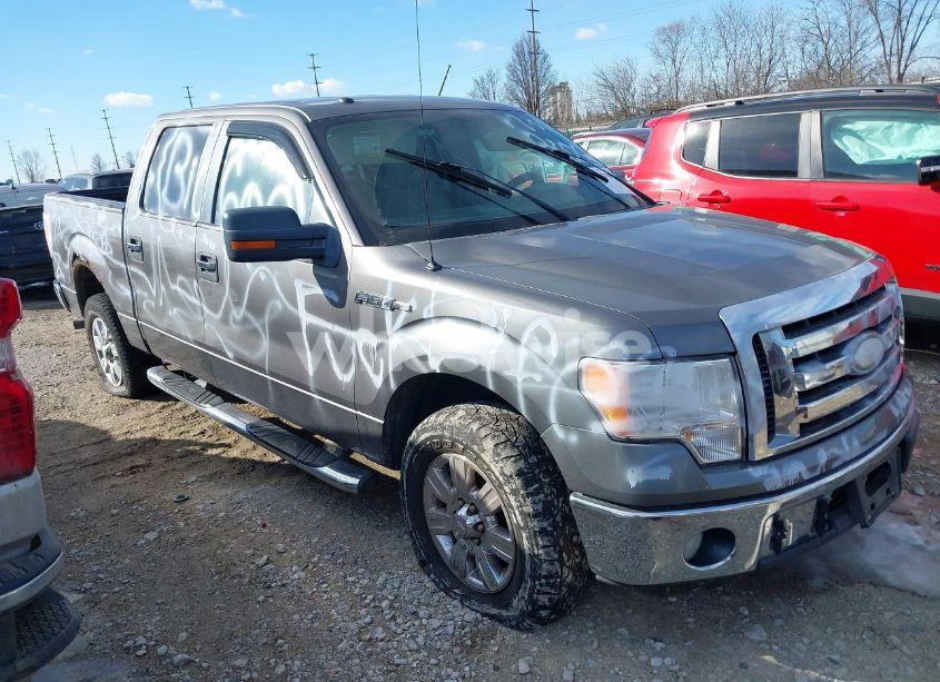 2009 Ford F-150 XL/XLT (VIN 1FTRW12829FA65456) main photo