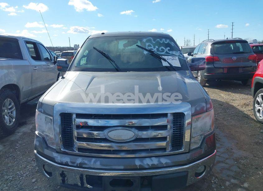Photo 12 of 2009 Ford F-150 XL/XLT (VIN 1FTRW12829FA65456)