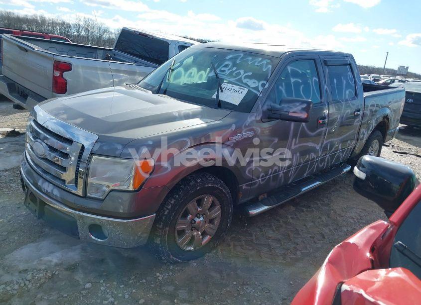 Photo 2 of 2009 Ford F-150 XL/XLT (VIN 1FTRW12829FA65456)