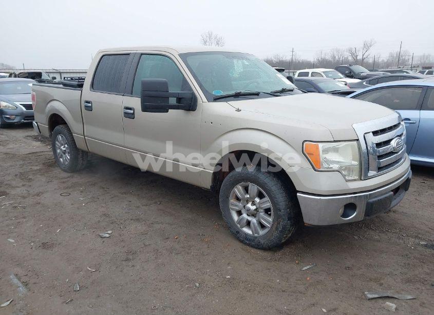 2009 Ford F-150 XL/XLT (VIN 1FTRW12829FB46232) main photo