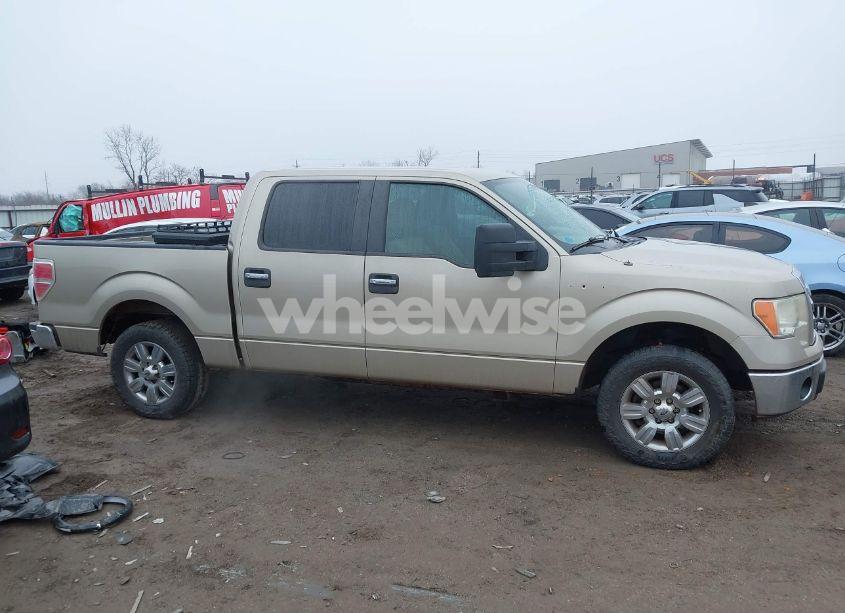 Photo 13 of 2009 Ford F-150 XL/XLT (VIN 1FTRW12829FB46232)