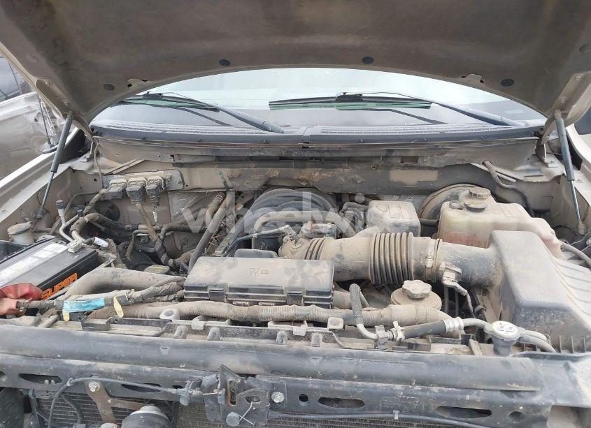 Photo 10 of 2009 Ford F-150 XL/XLT (VIN 1FTRW12829KC52641)