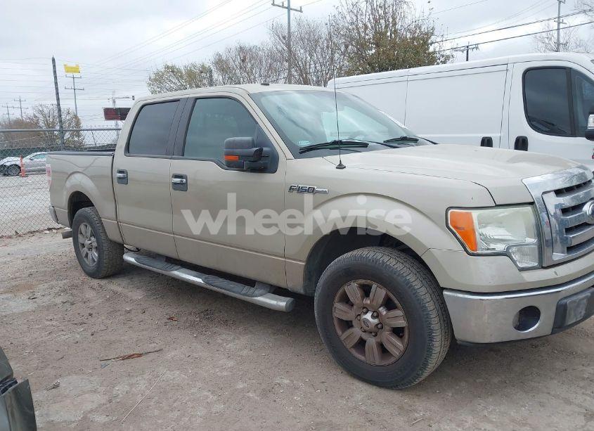 Photo 13 of 2009 Ford F-150 XL/XLT (VIN 1FTRW12829KC52641)