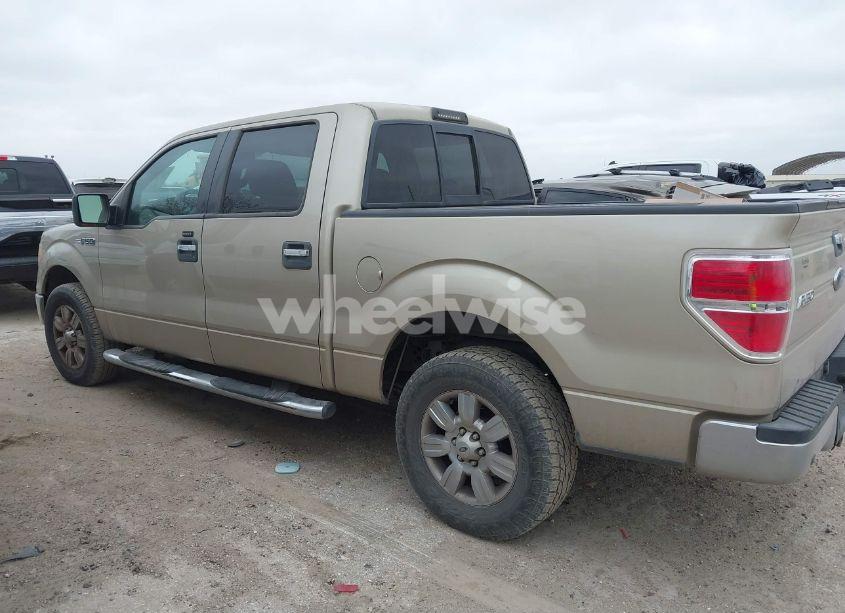 Photo 14 of 2009 Ford F-150 XL/XLT (VIN 1FTRW12829KC52641)