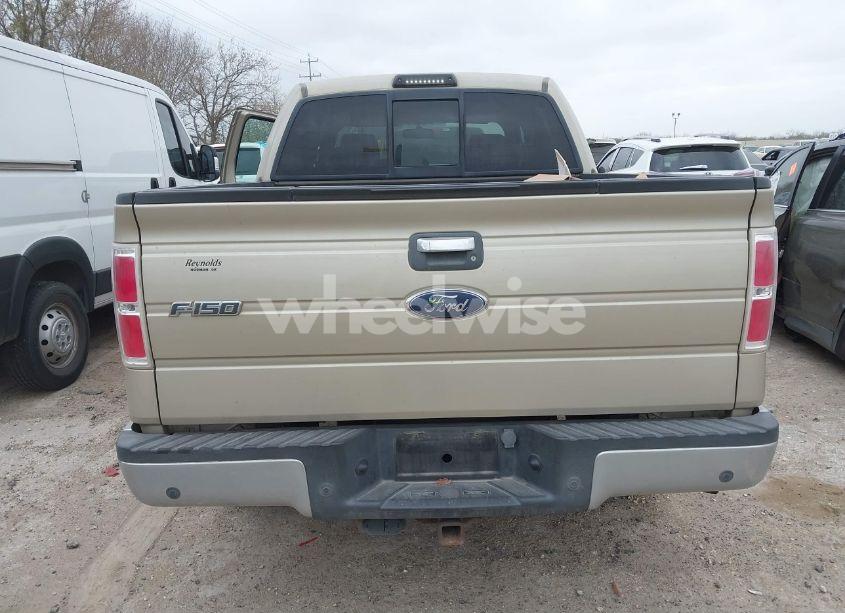 Photo 16 of 2009 Ford F-150 XL/XLT (VIN 1FTRW12829KC52641)
