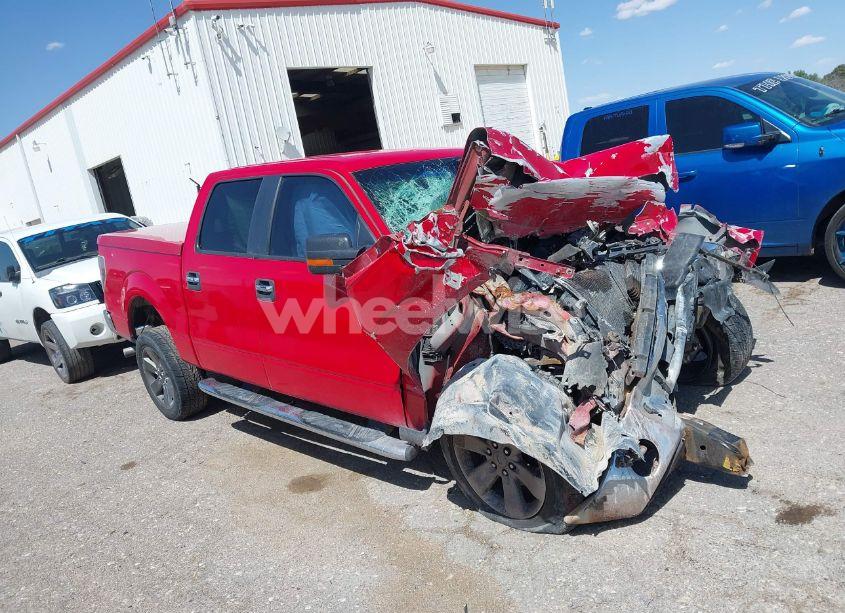 Photo 13 of 2009 Ford F-150 XL/XLT (VIN 1FTRW12829KC78768)