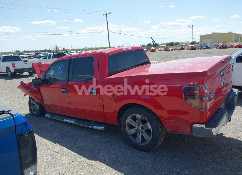 Photo 14 of 2009 Ford F-150 XL/XLT (VIN 1FTRW12829KC78768)