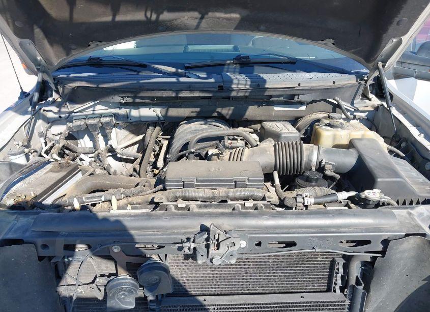 Photo 10 of 2009 Ford F-150 XL/XLT (VIN 1FTRW12839FA47225)