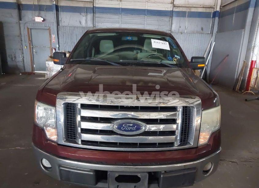 Photo 6 of 2009 Ford F-150 XL/XLT (VIN 1FTRW12839FB19606)