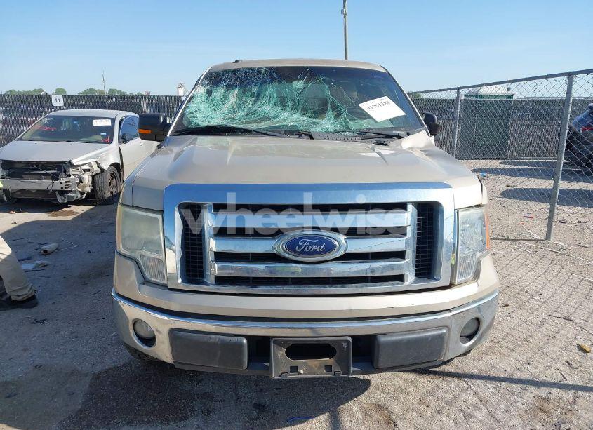 Photo 12 of 2009 Ford F-150 XL/XLT (VIN 1FTRW12859KB90409)