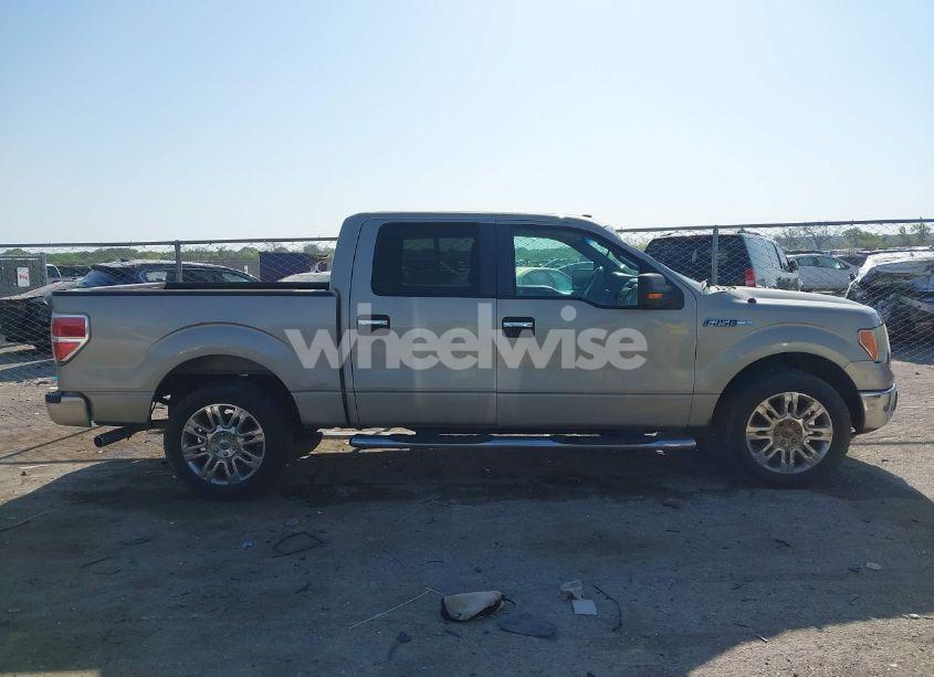 Photo 13 of 2009 Ford F-150 XL/XLT (VIN 1FTRW12859KB90409)