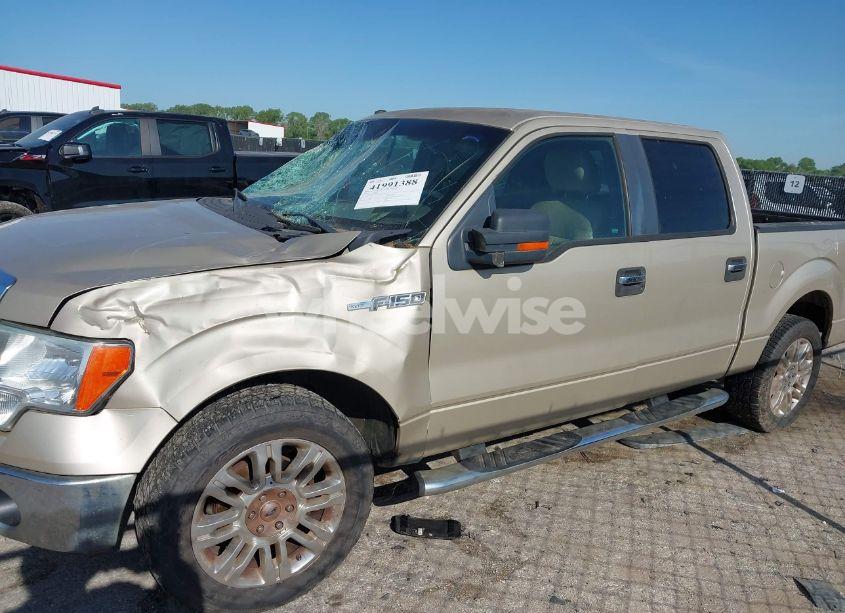 Photo 14 of 2009 Ford F-150 XL/XLT (VIN 1FTRW12859KB90409)