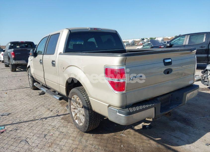 Photo 3 of 2009 Ford F-150 XL/XLT (VIN 1FTRW12859KB90409)