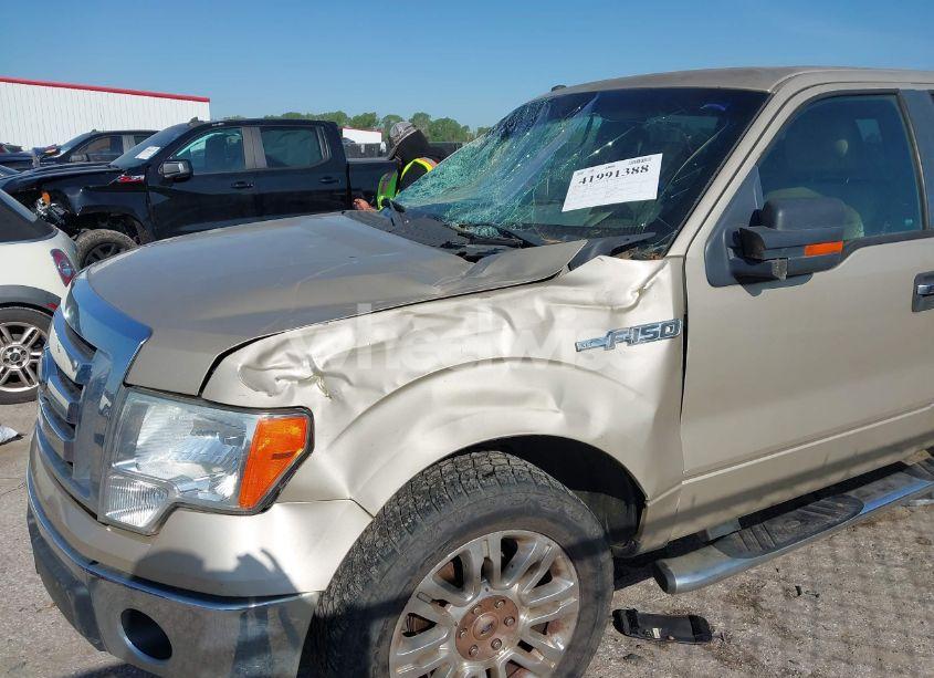 Photo 6 of 2009 Ford F-150 XL/XLT (VIN 1FTRW12859KB90409)