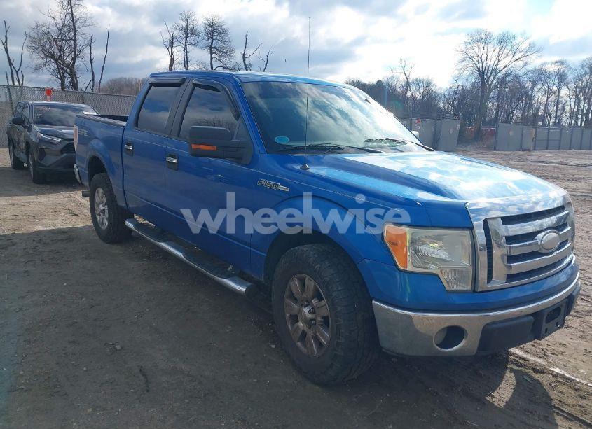 2009 Ford F-150 XLT (VIN 1FTRW12869FA40558) main photo