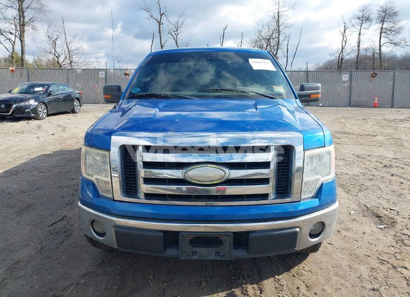 Photo 11 of 2009 Ford F-150 XLT (VIN 1FTRW12869FA40558)
