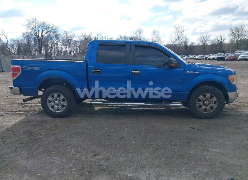 Photo 12 of 2009 Ford F-150 XLT (VIN 1FTRW12869FA40558)