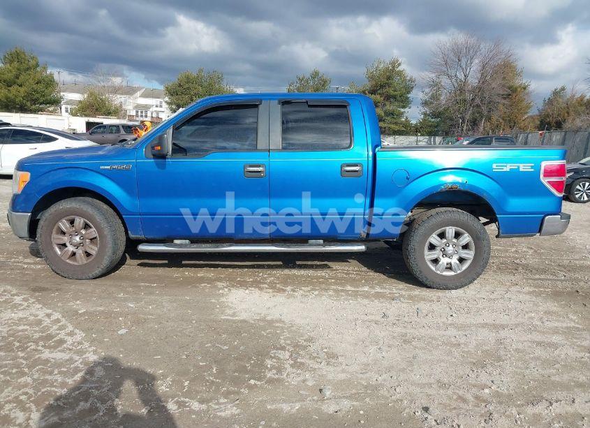 Photo 13 of 2009 Ford F-150 XLT (VIN 1FTRW12869FA40558)