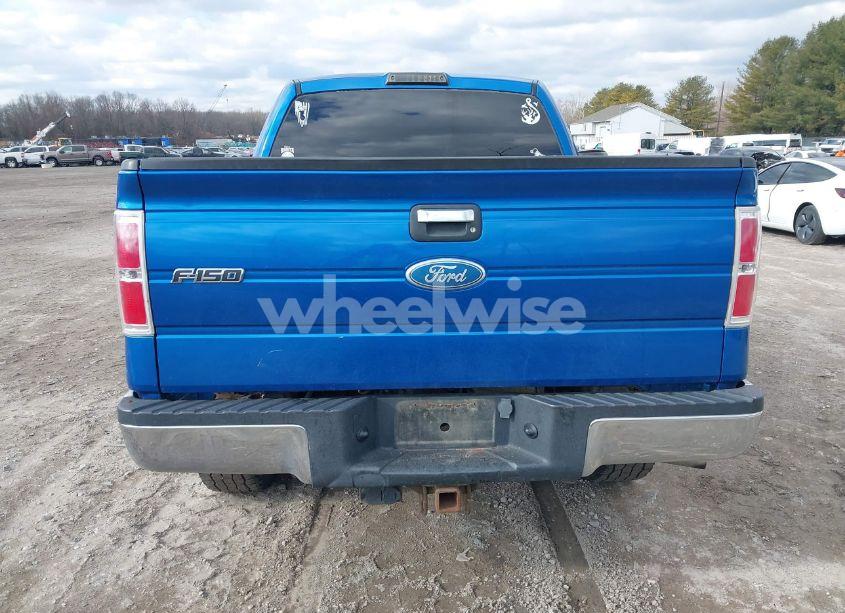 Photo 15 of 2009 Ford F-150 XLT (VIN 1FTRW12869FA40558)