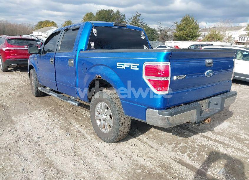 Photo 3 of 2009 Ford F-150 XLT (VIN 1FTRW12869FA40558)