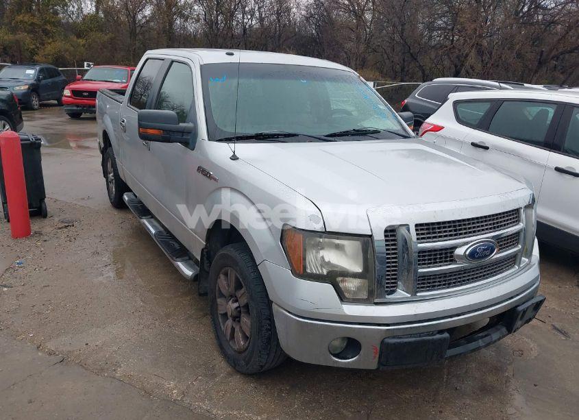 2009 Ford F-150 XL/XLT (VIN 1FTRW12889FA73240) main photo