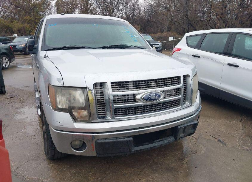 Photo 18 of 2009 Ford F-150 XL/XLT (VIN 1FTRW12889FA73240)
