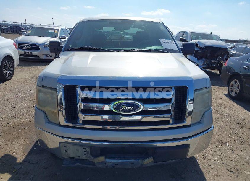 Photo 12 of 2009 Ford F-150 XL/XLT (VIN 1FTRW12899FA76230)
