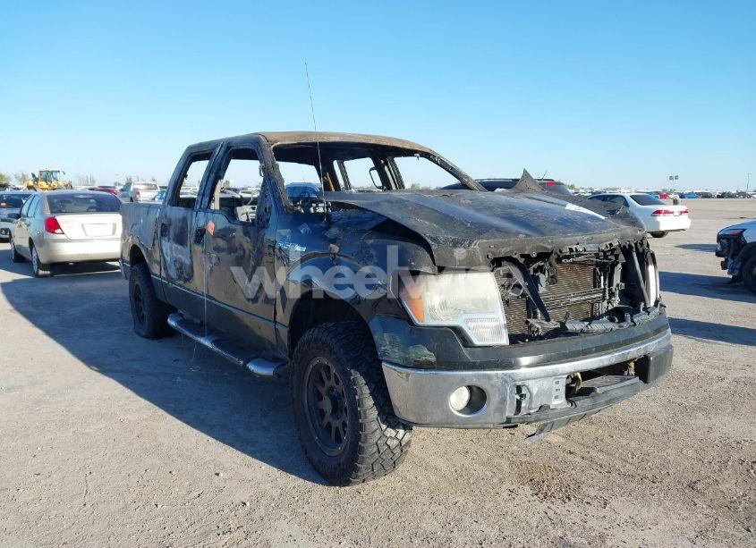 2009 Ford F-150 XL/XLT (VIN 1FTRW128X9FA51661) main photo