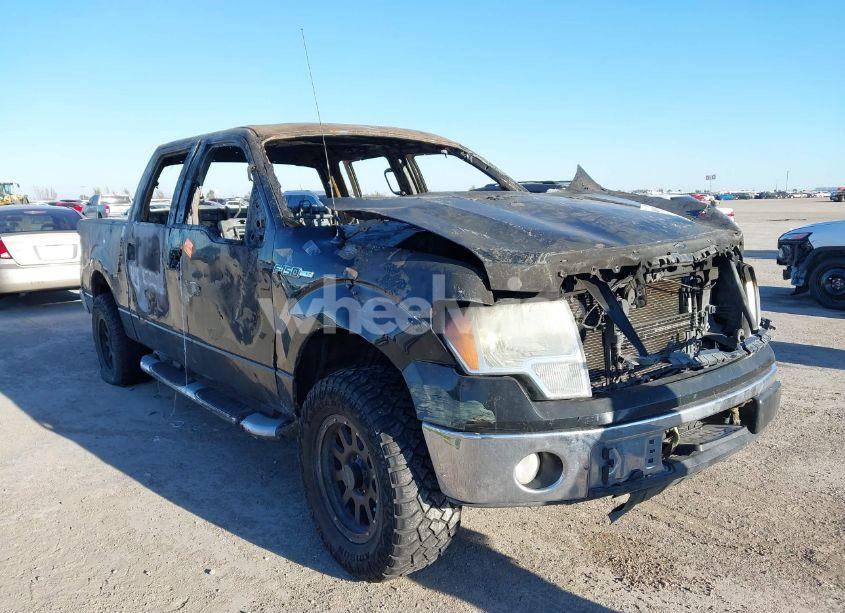 Photo 6 of 2009 Ford F-150 XL/XLT (VIN 1FTRW128X9FA51661)