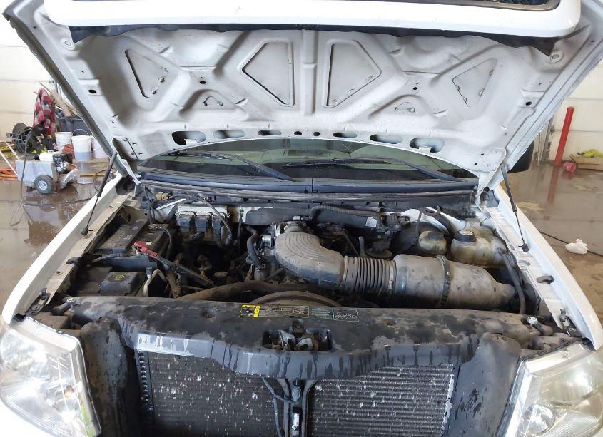 Photo 10 of 2004 Ford F-150 XLT (VIN 1FTRW12W04KC80266)