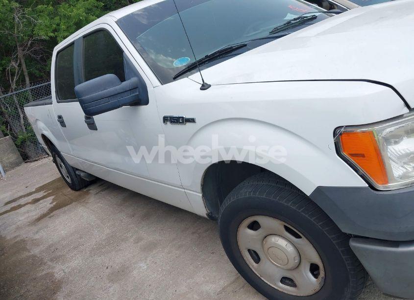 Photo 13 of 2009 Ford F-150 XL/XLT (VIN 1FTRW12W09FA42756)